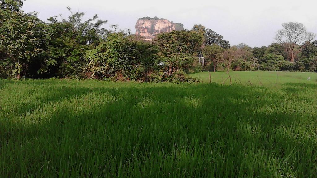 Sigiriya Vee Guest Apartment Exterior photo
